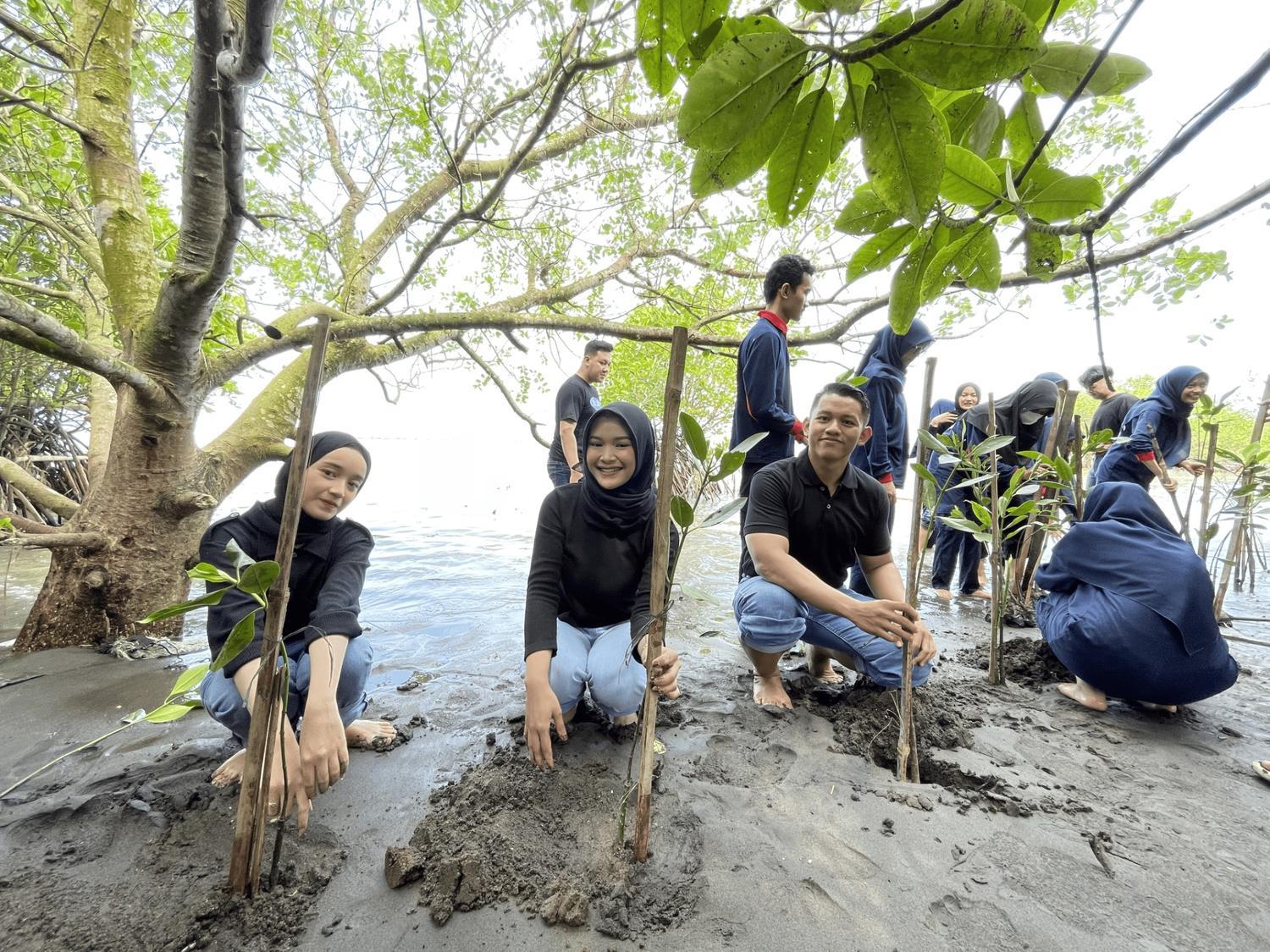 Edukasi Lingkungan Seru untuk Anak: MangroKids Volution Tumbuhkan Cinta Mangrove
