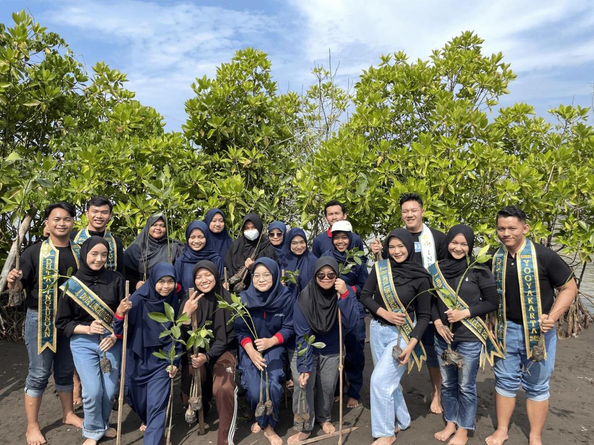 Tentang Mangrovolution